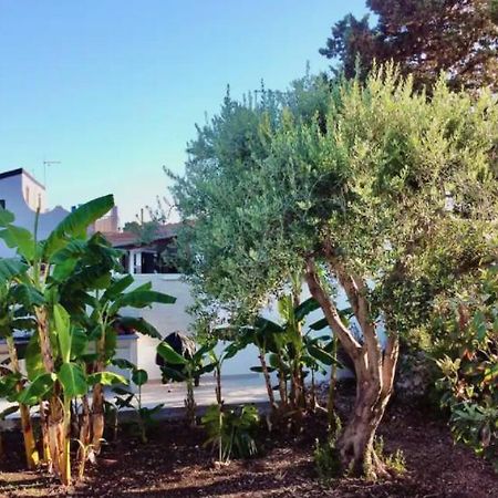 Villa Mare Blue Sr Nuovissima Villa 150M Dal Mare Adatta A Bambini Terrauzza Экстерьер фото